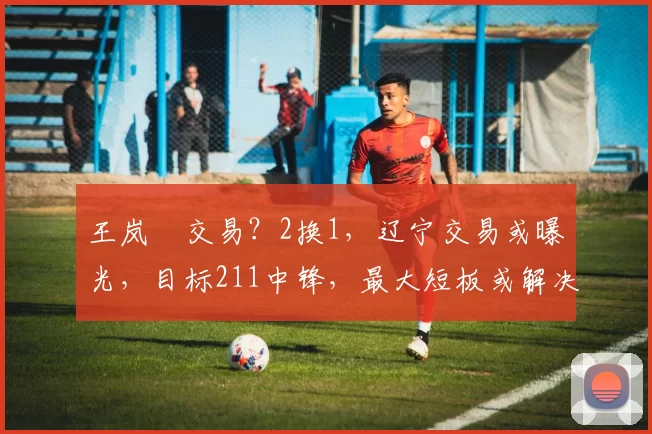 王岚嵚交易？2换1，辽宁交易或曝光，目标211中锋，最大短板或解决