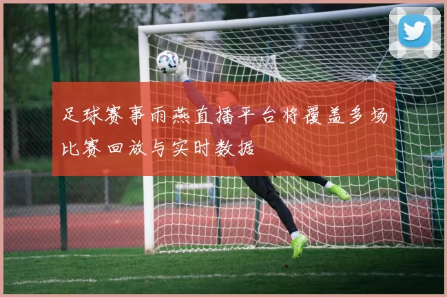 足球赛事雨燕直播平台将覆盖多场比赛回放与实时数据